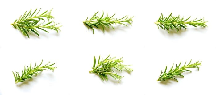 rosemary-health-spices-and-herbs-organixmag