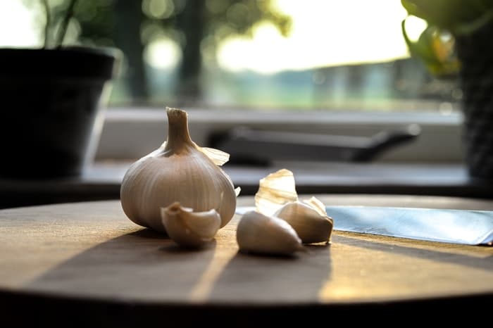 garlic-health-spices-and-herbs-organixmag